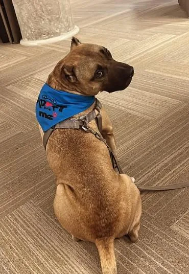 Pauly D. thumbnail 3