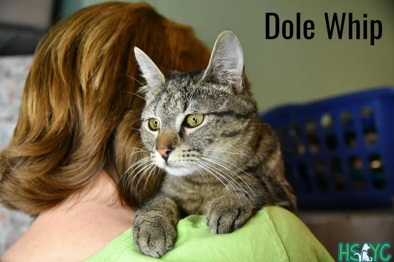 Dole Whip thumbnail 2