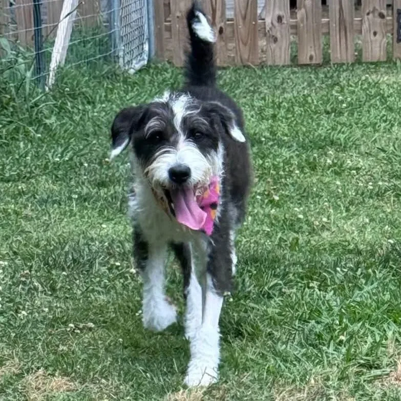 Chloe