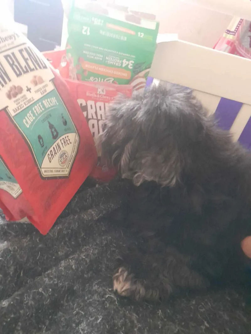 Snickers thumbnail 2