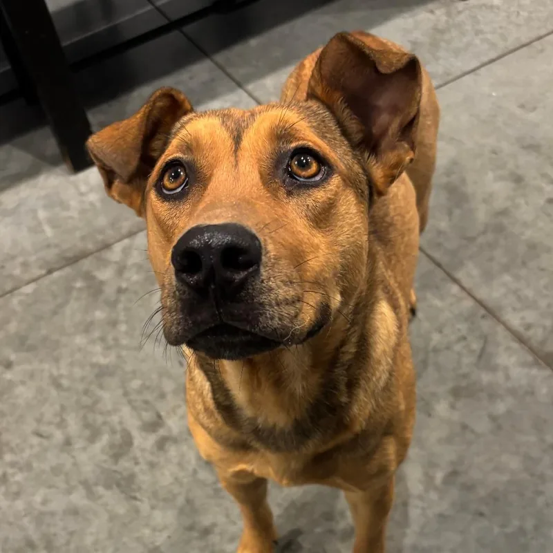 Guadalupe thumbnail 2