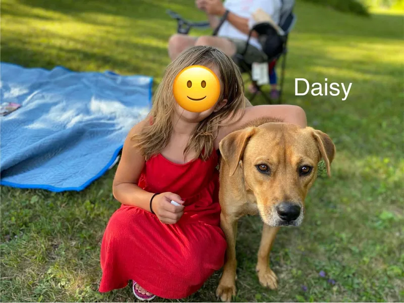 Daisy thumbnail 3