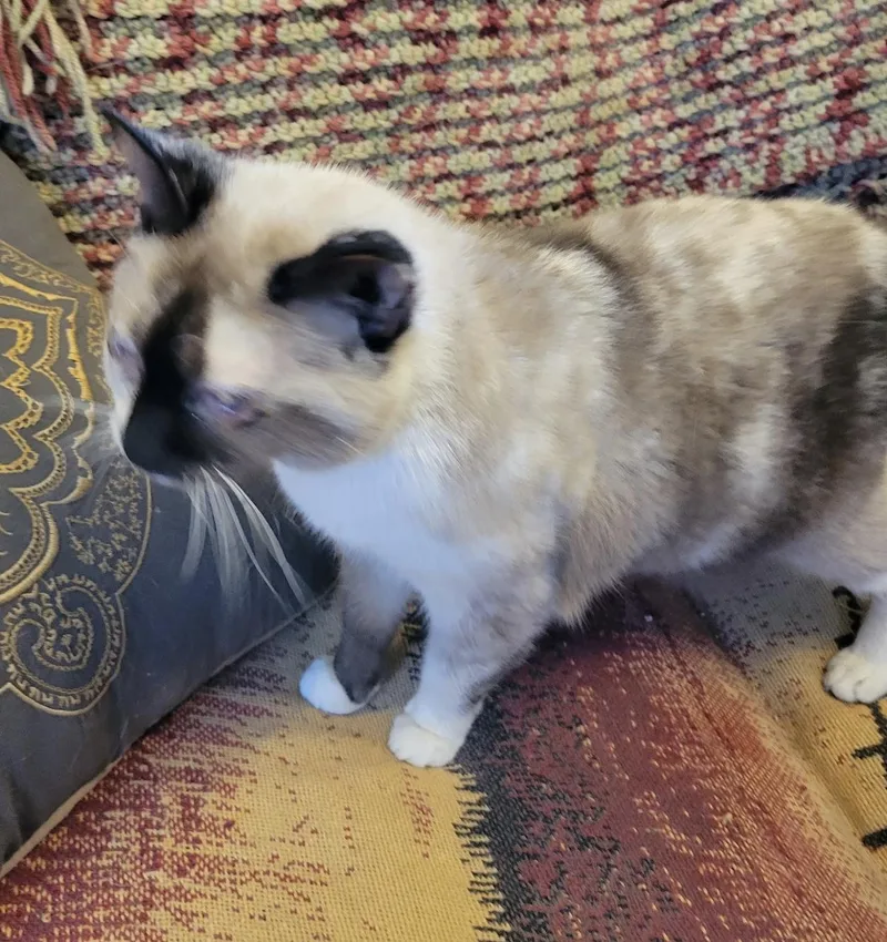 Izzy thumbnail 3