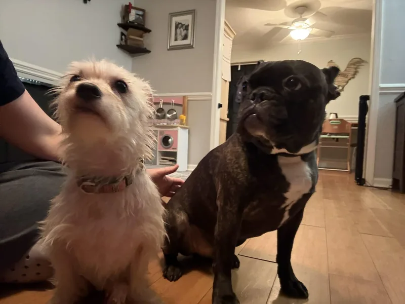 Mr. Green thumbnail 2