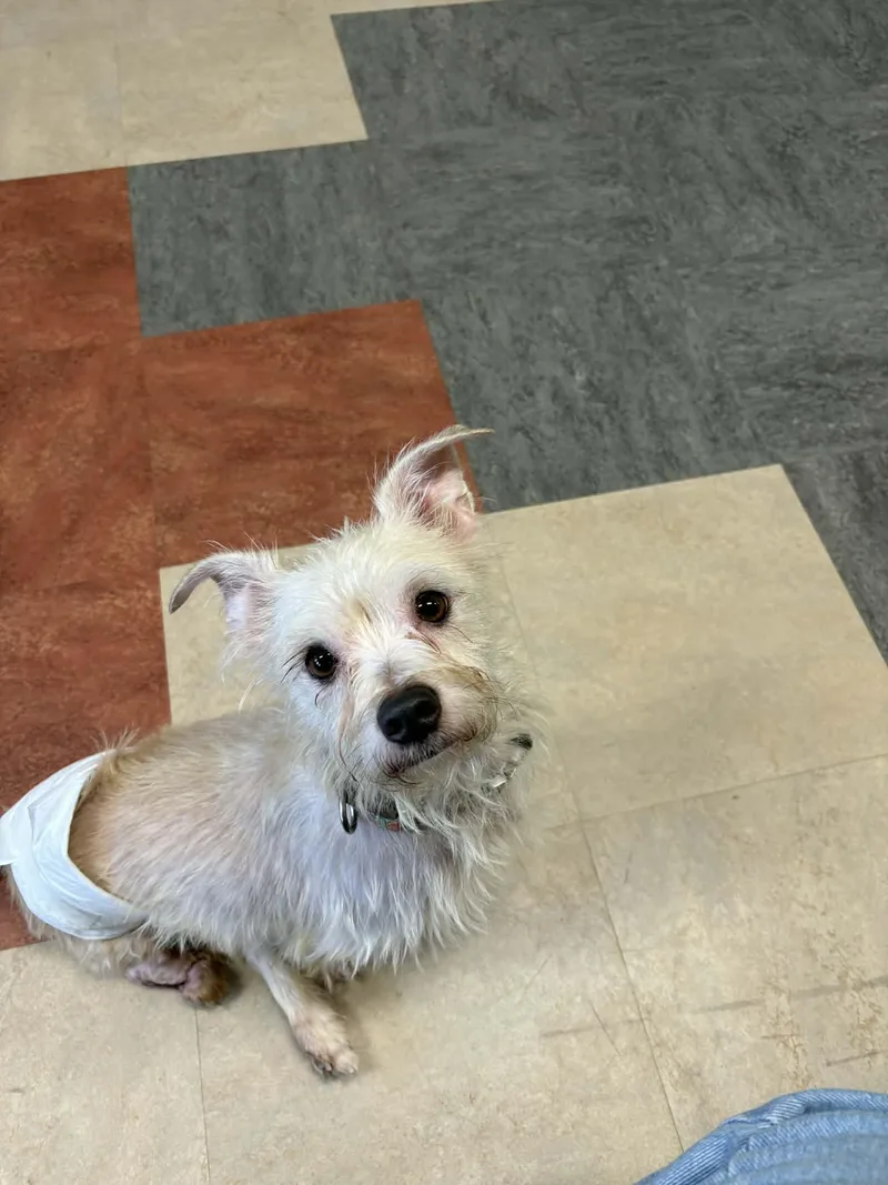 Mr. Green thumbnail 3