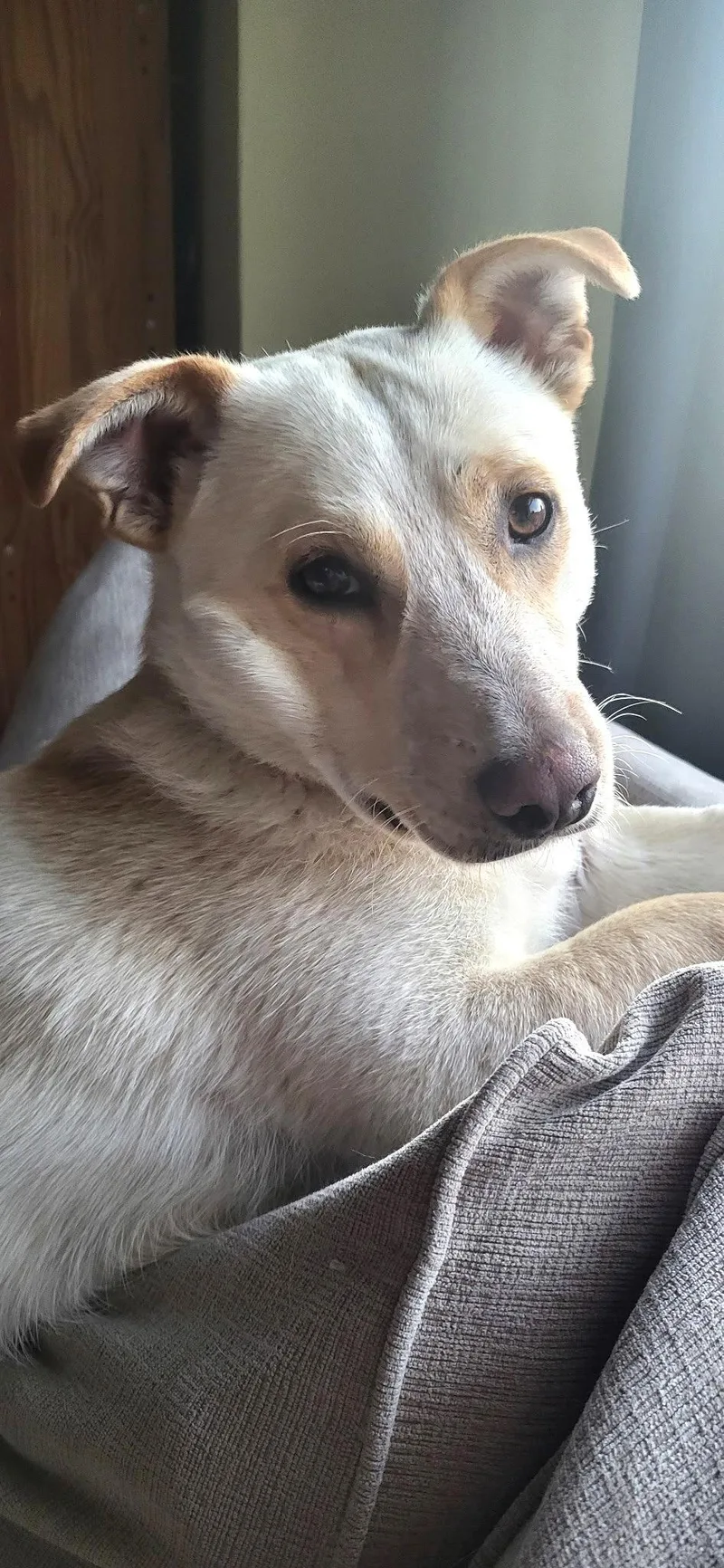 Mac