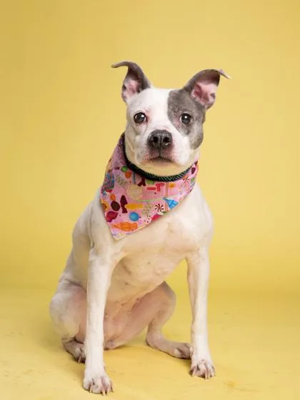 Sweet Girl thumbnail 2