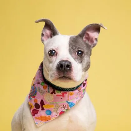 Sweet Girl thumbnail 3