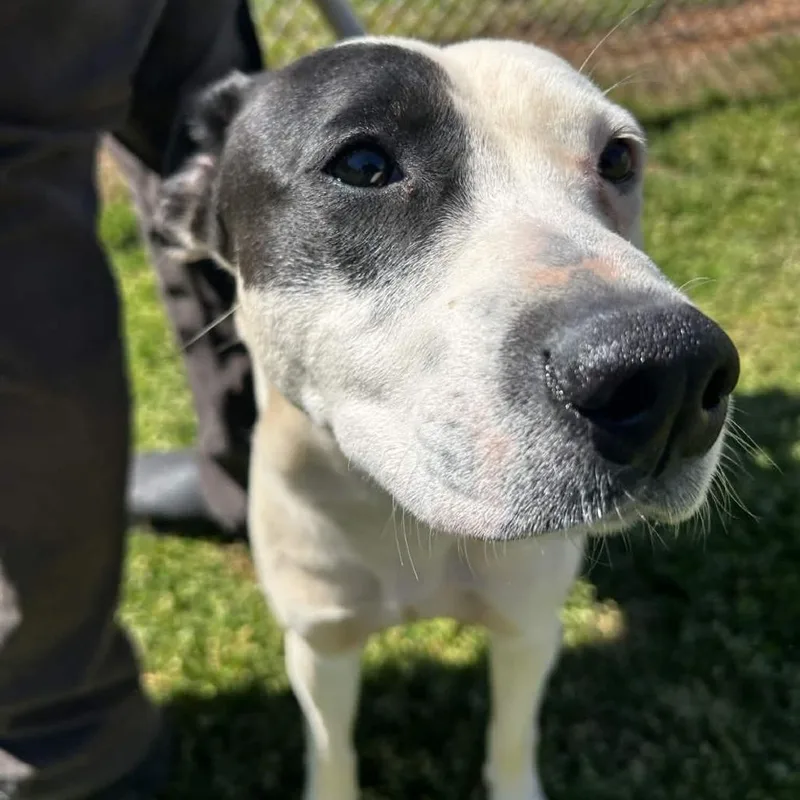 Richie Tenenbaum thumbnail 2