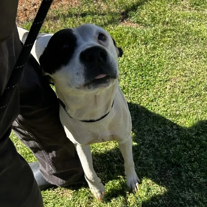 Richie Tenenbaum thumbnail 3