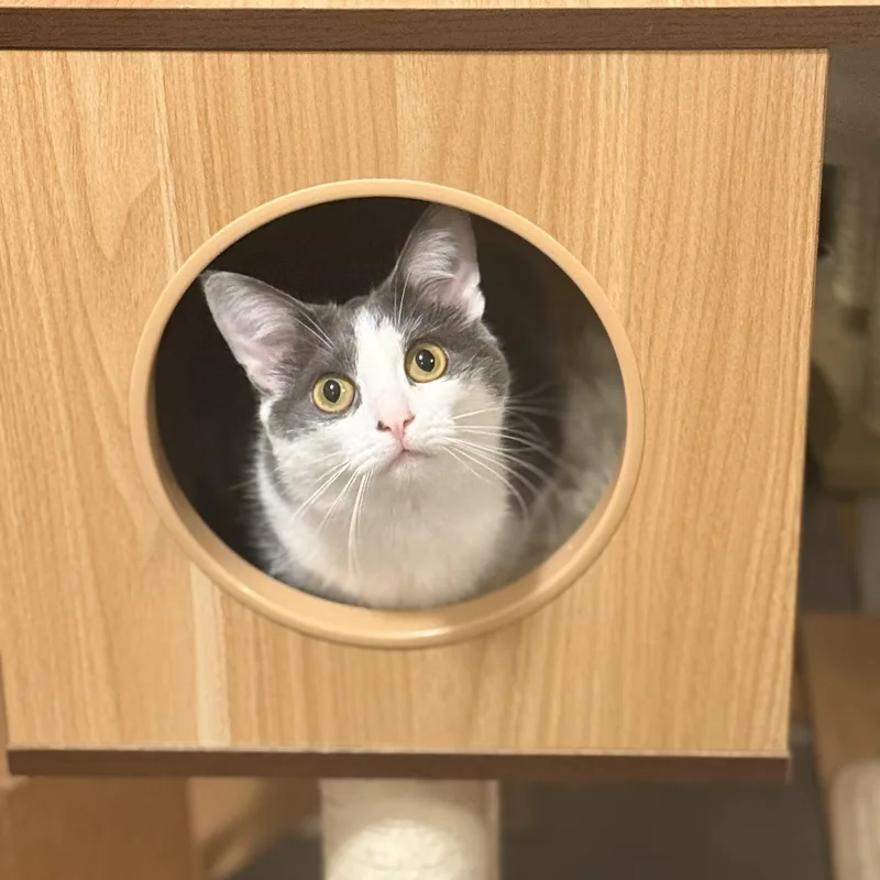 Stevie & Nicks thumbnail 4