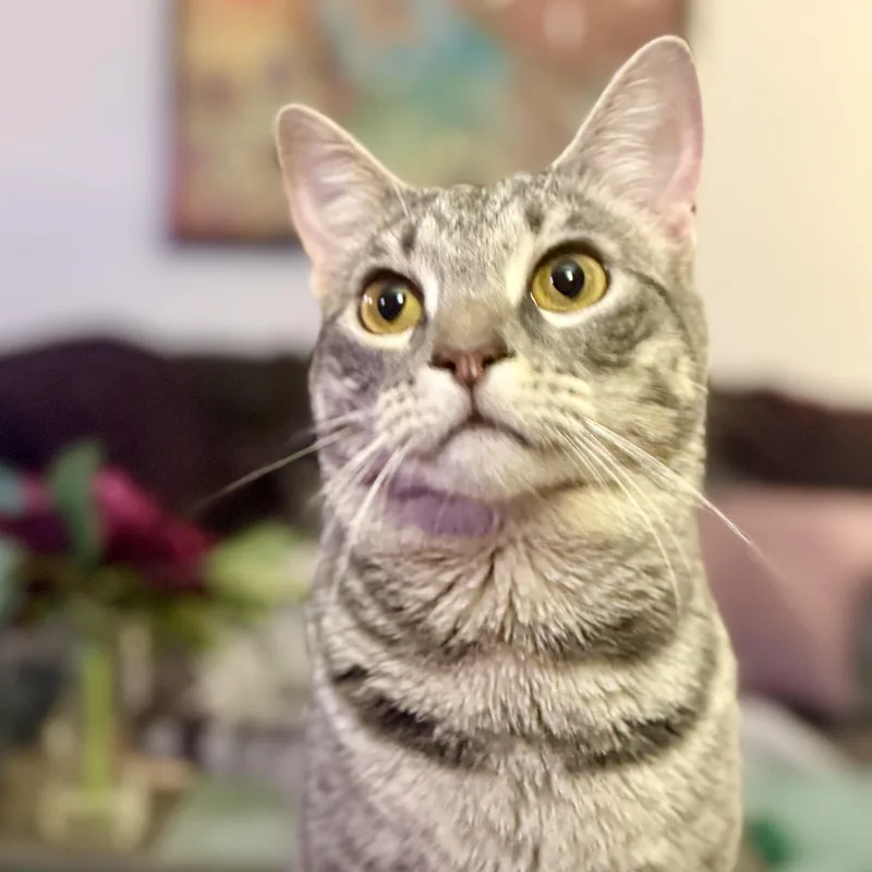 Stevie & Nicks thumbnail 6