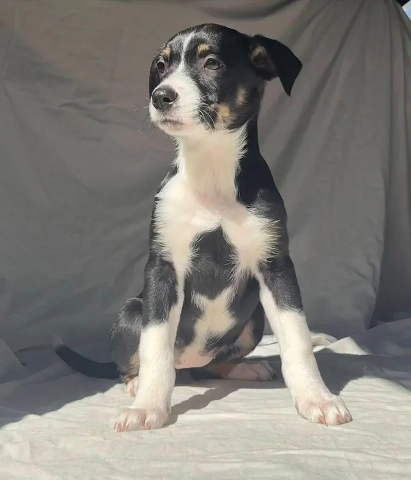 Leslie Aka Kk thumbnail 2