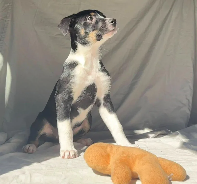 Leslie Aka Kk thumbnail 3