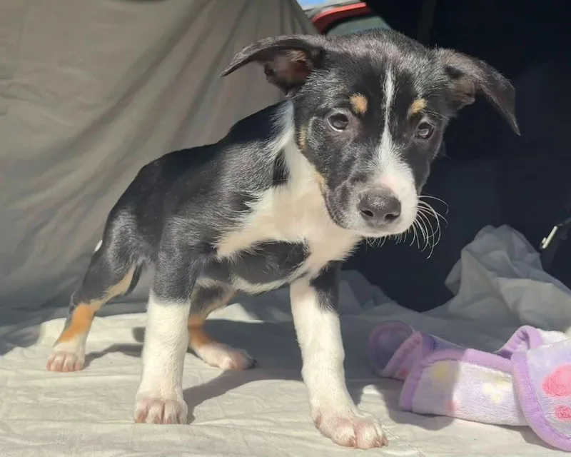 Leslie Aka Kk thumbnail 4