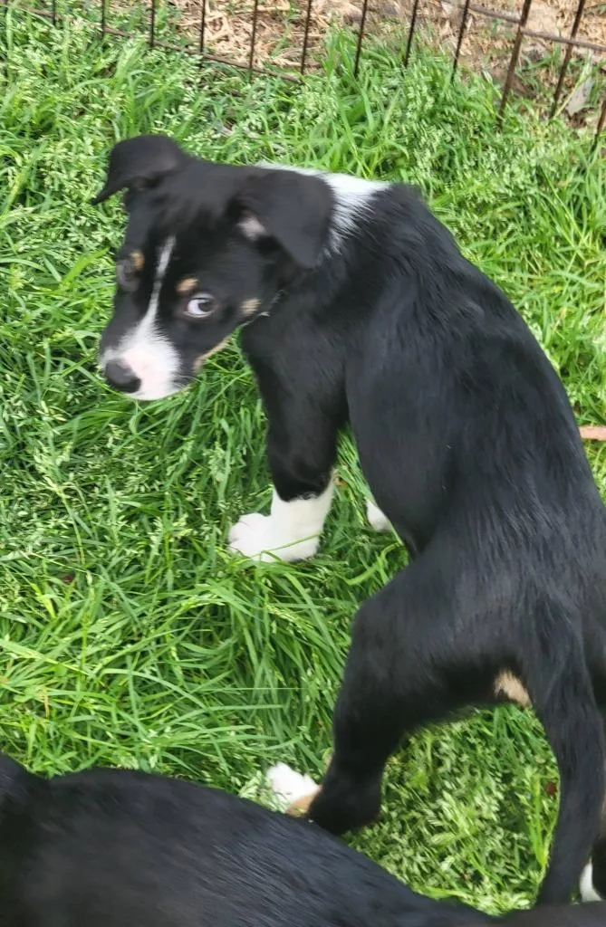 Leslie Aka Kk thumbnail 6