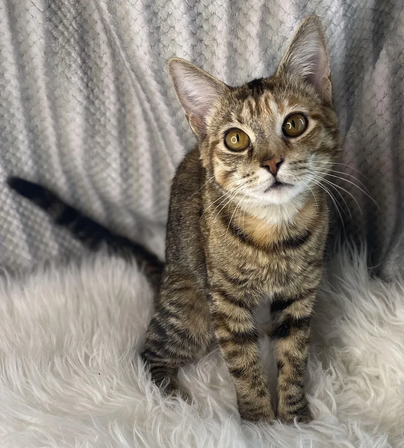 Victoria  See Me thumbnail 2