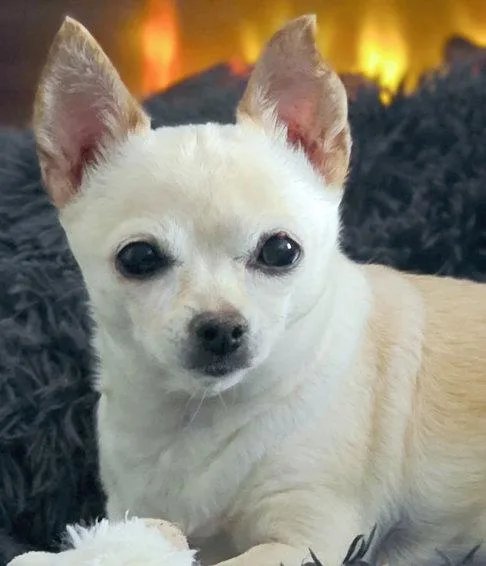 Milly thumbnail 3