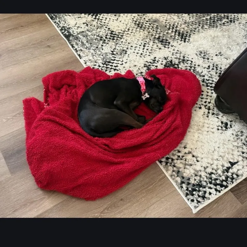 Niki