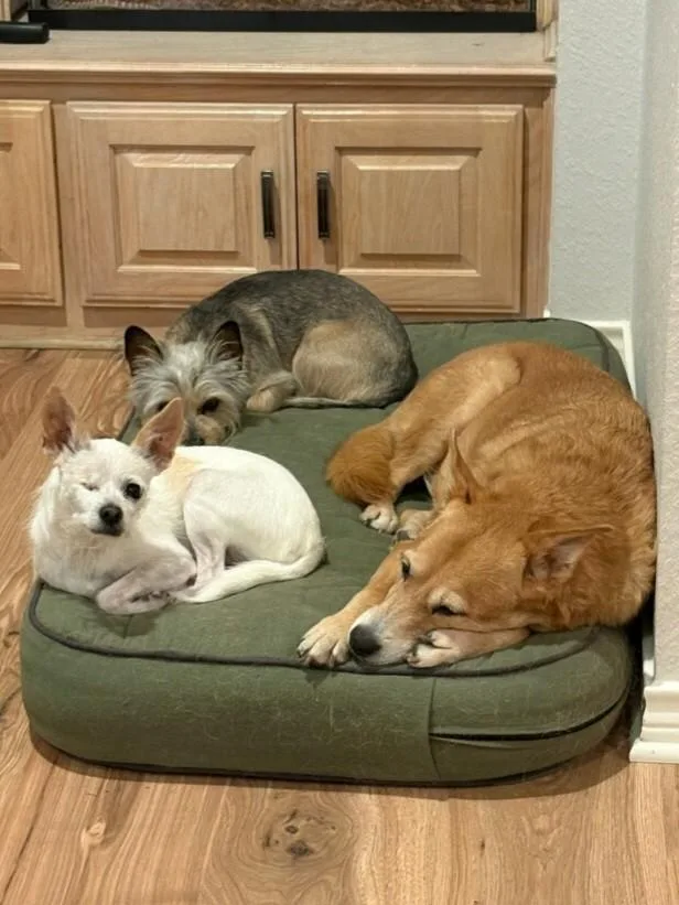 Charlotte thumbnail 3