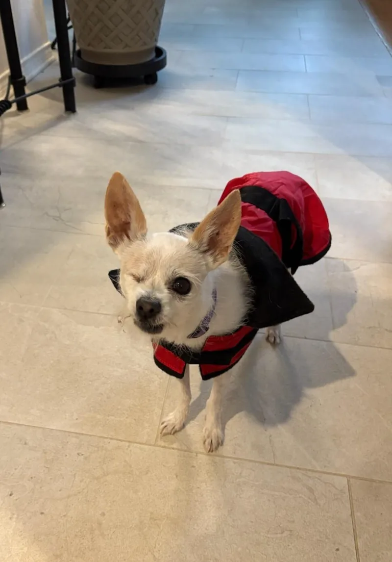 Charlotte thumbnail 5