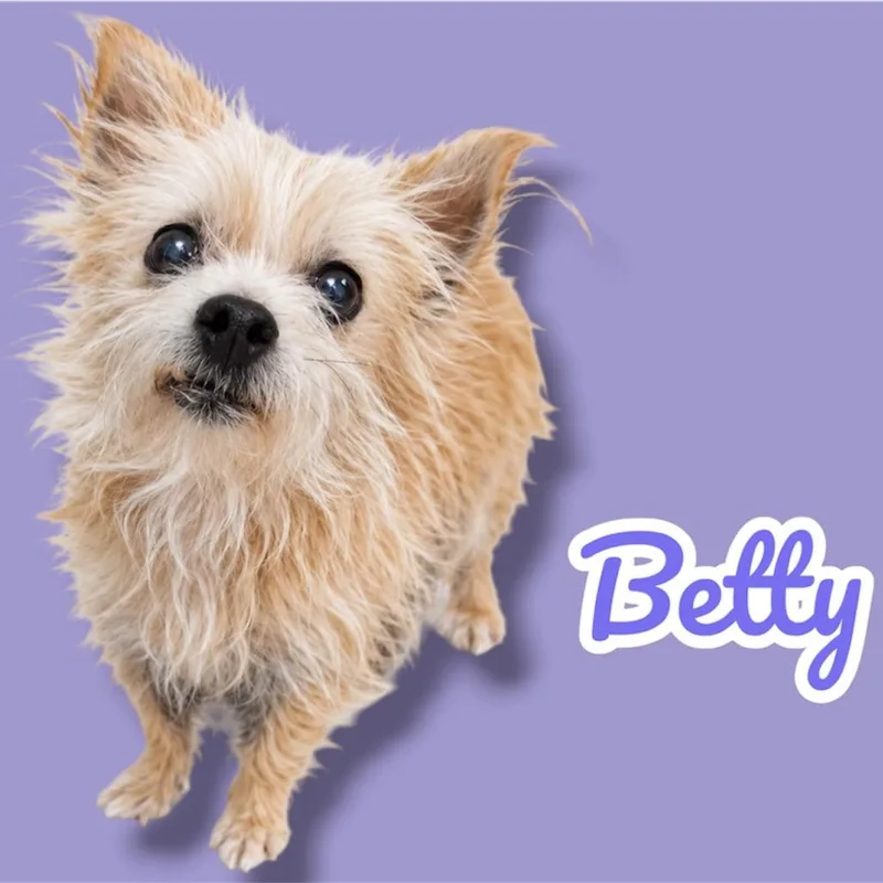 Betty Rose