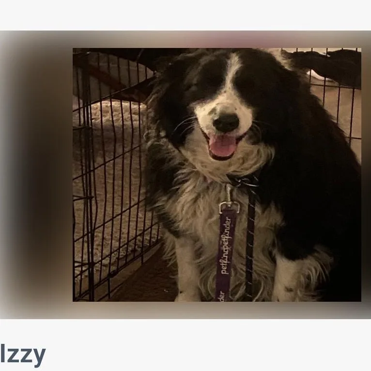 Izzy thumbnail 3