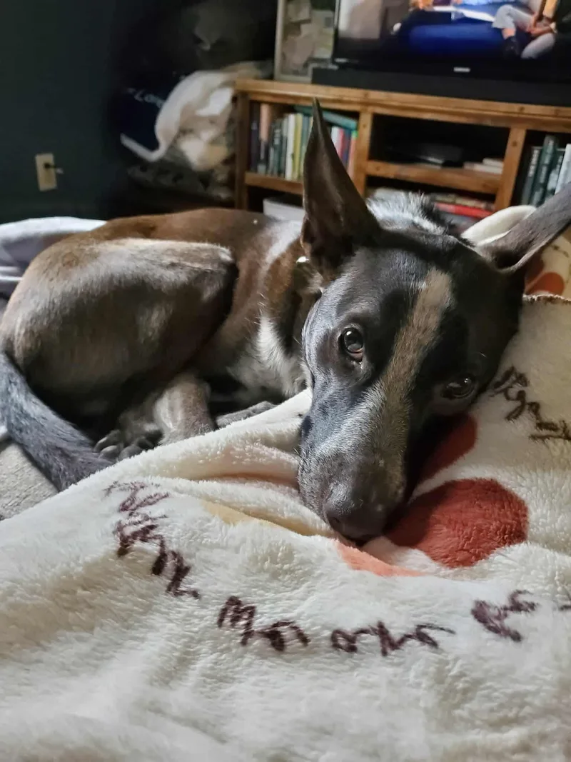 Milo