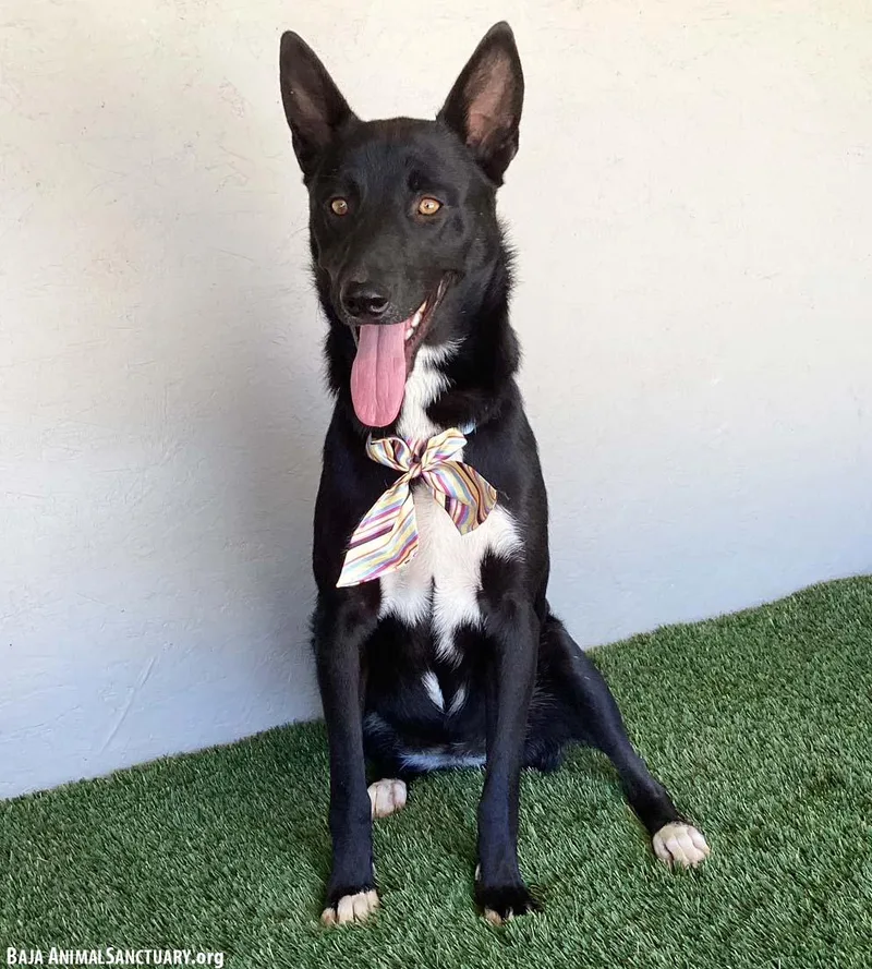 Charlene thumbnail 2