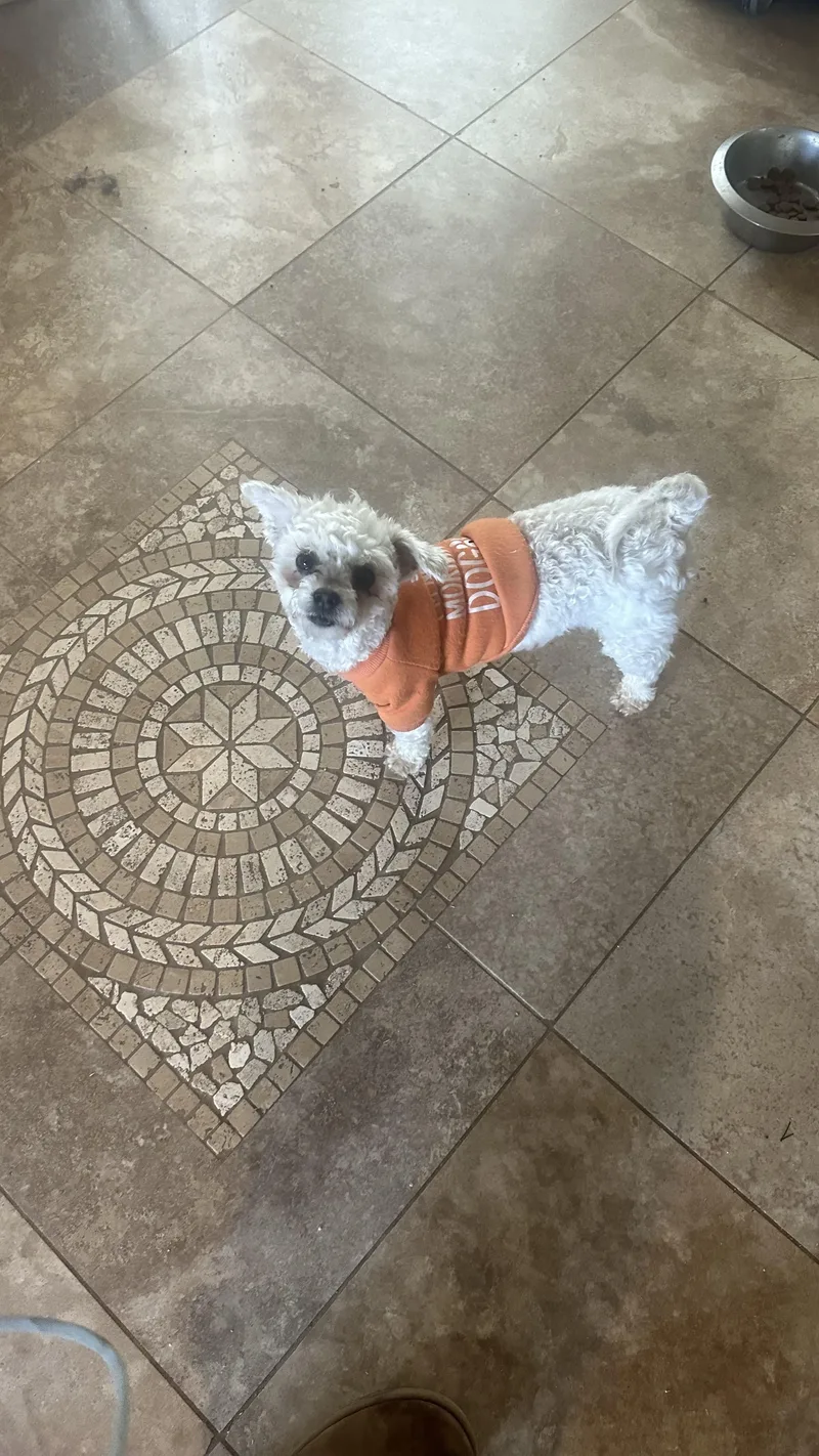 Lillibet thumbnail 5