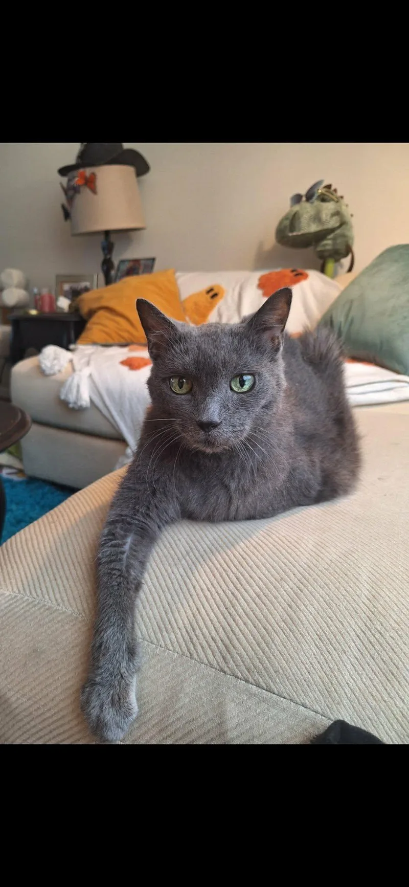 Rosemarie thumbnail 2