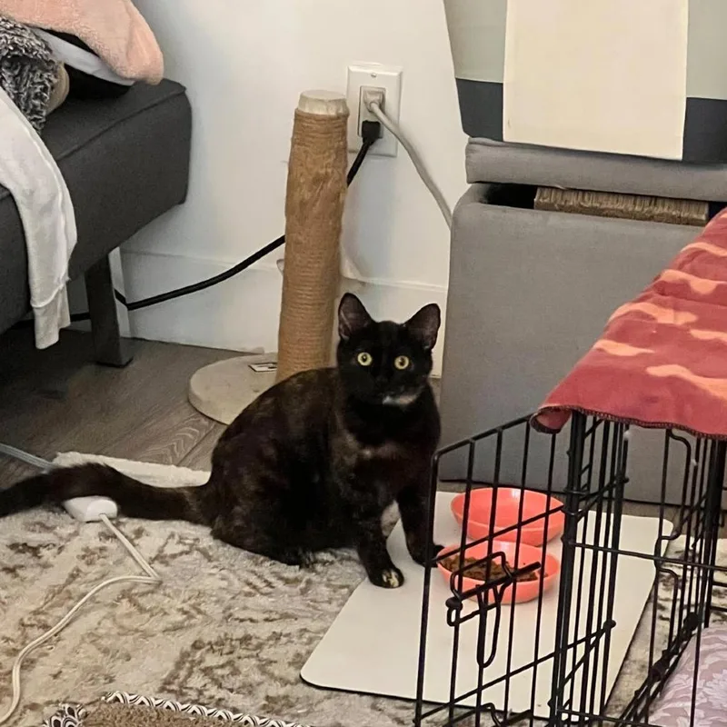 Momma Kate thumbnail 2