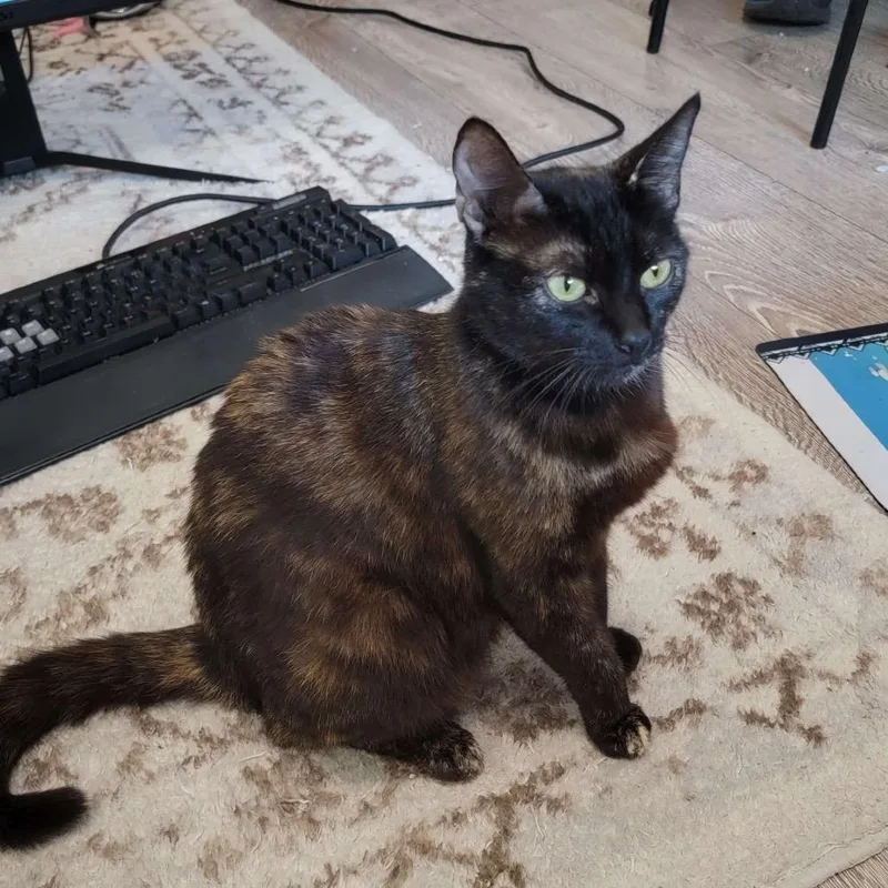 Momma Kate thumbnail 3