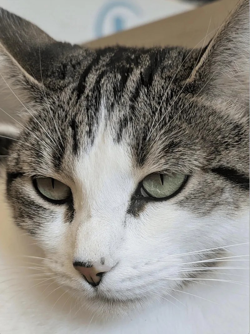 Buttered Popcorn thumbnail 2