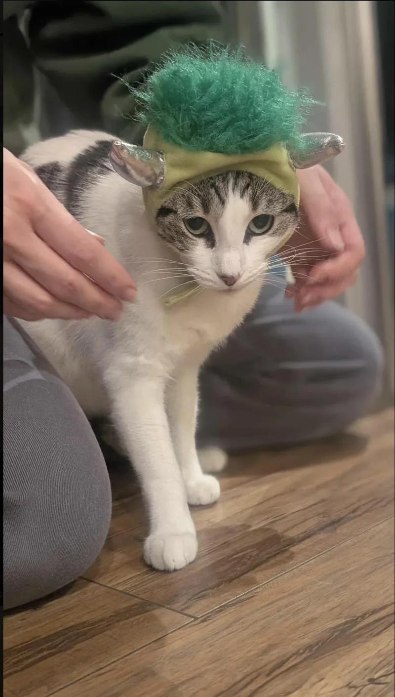 Buttered Popcorn thumbnail 3