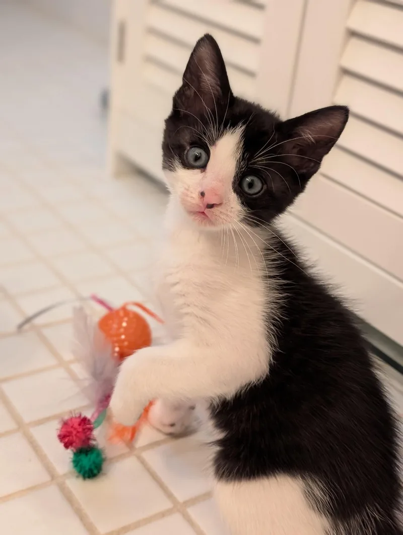 Daisy & Duke thumbnail 2