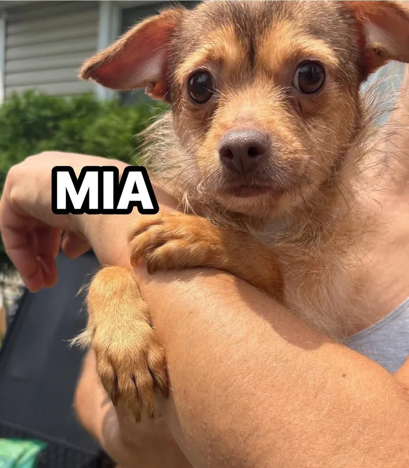 Mia