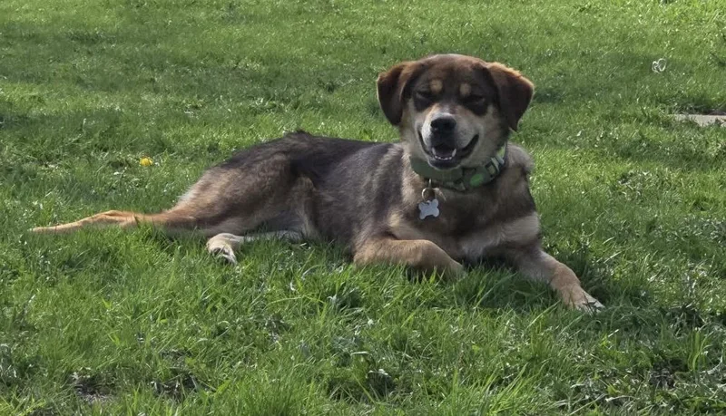 Chocolata thumbnail 2