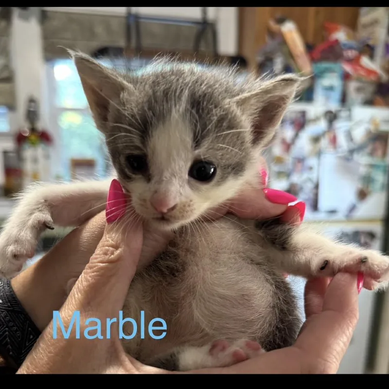 Marble thumbnail 5