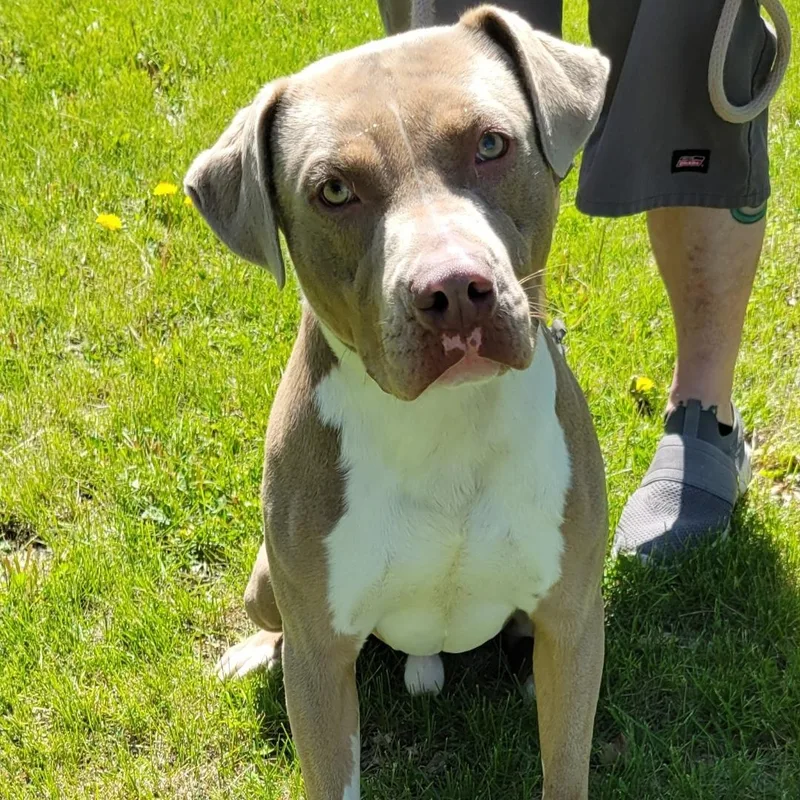 Axel