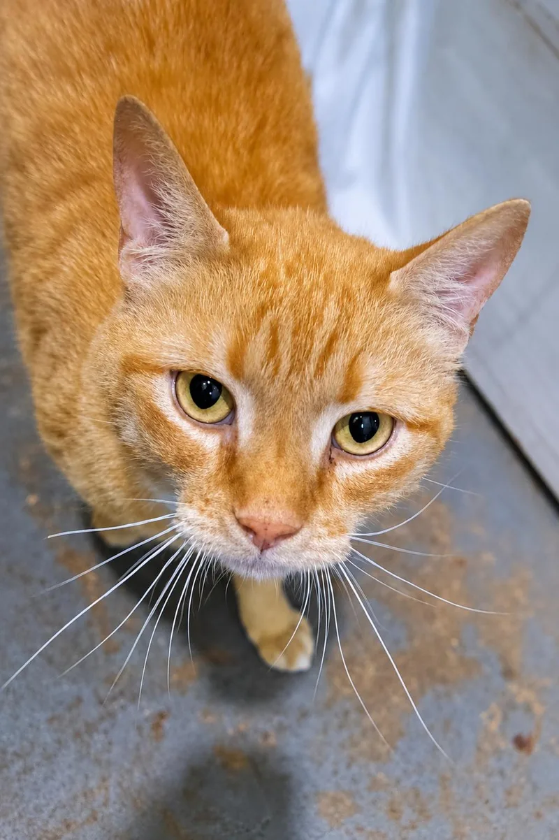 Catrick Swayze thumbnail 3