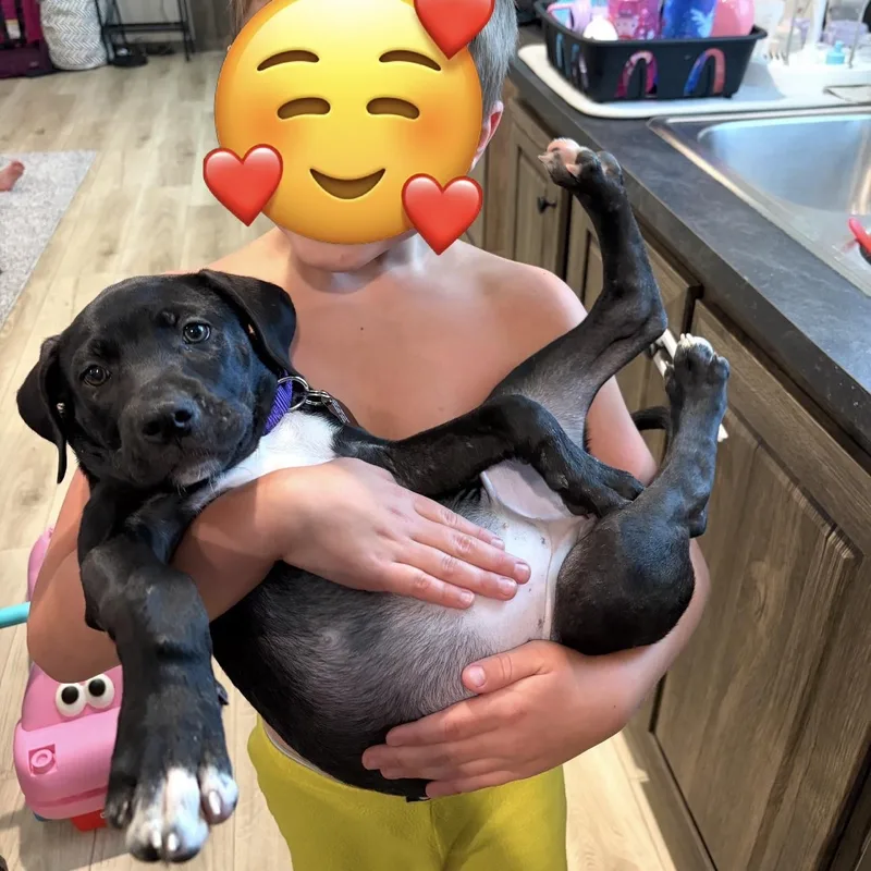 Molly thumbnail 2