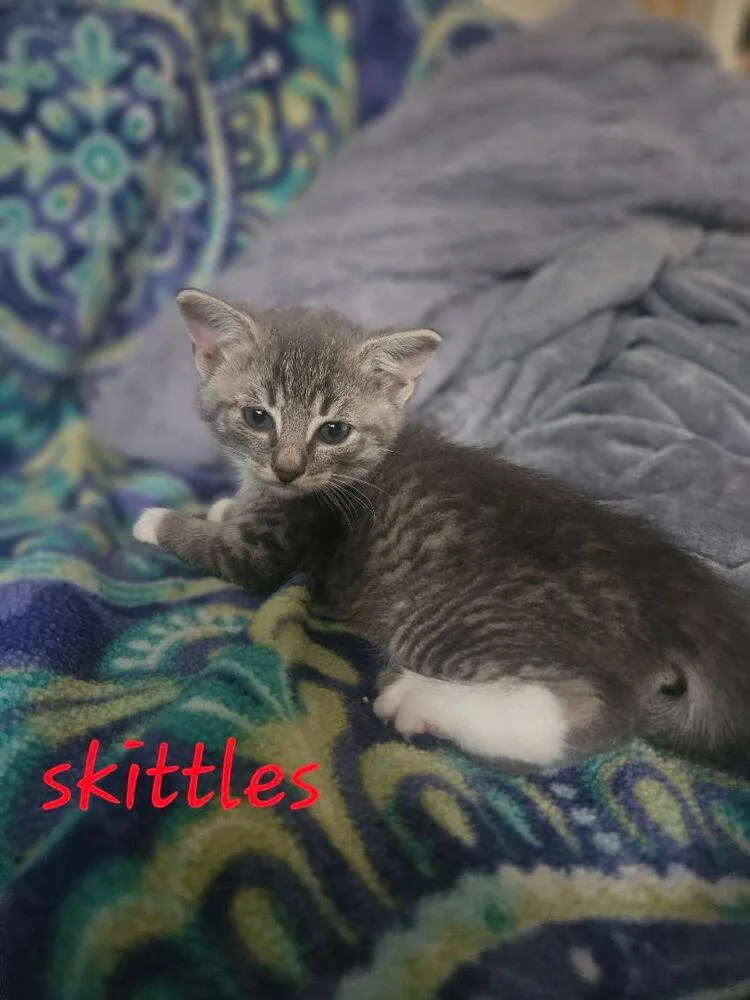 Skittles thumbnail 2
