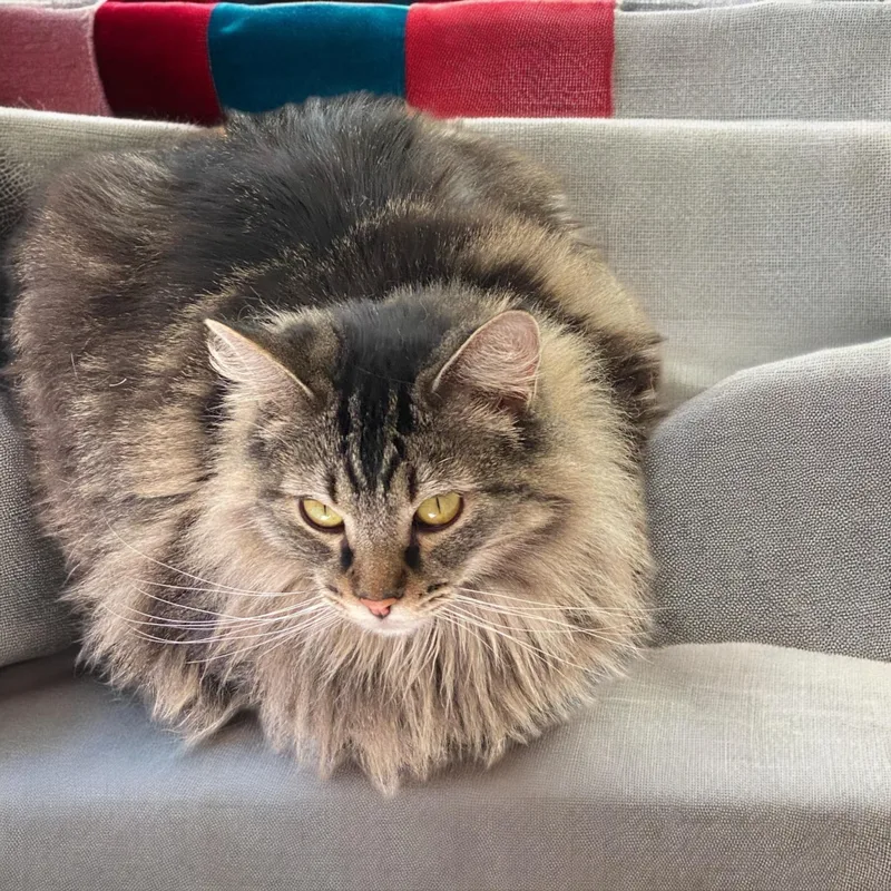 Mamá Jay thumbnail 2