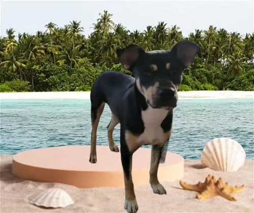 B.j. thumbnail 5