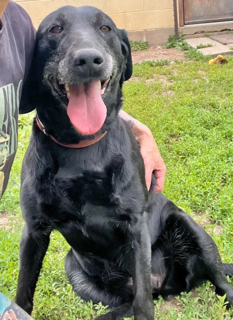 Sierra