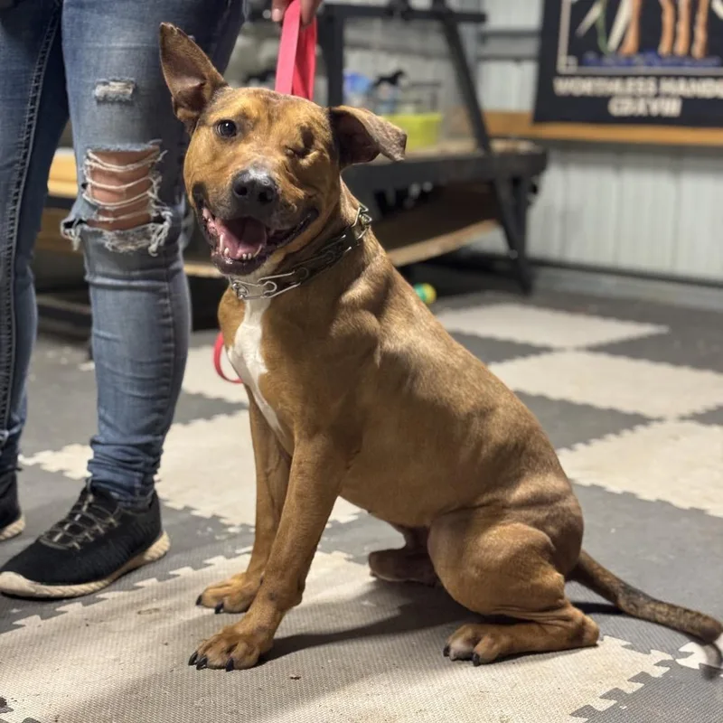 Bo Peeper thumbnail 2