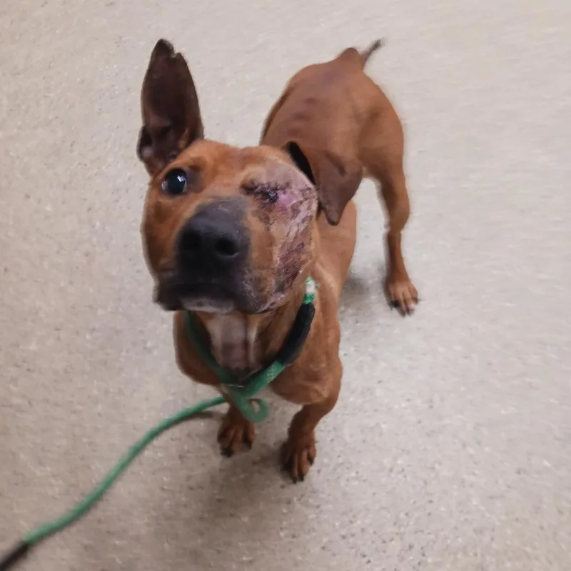 Bo Peeper thumbnail 3