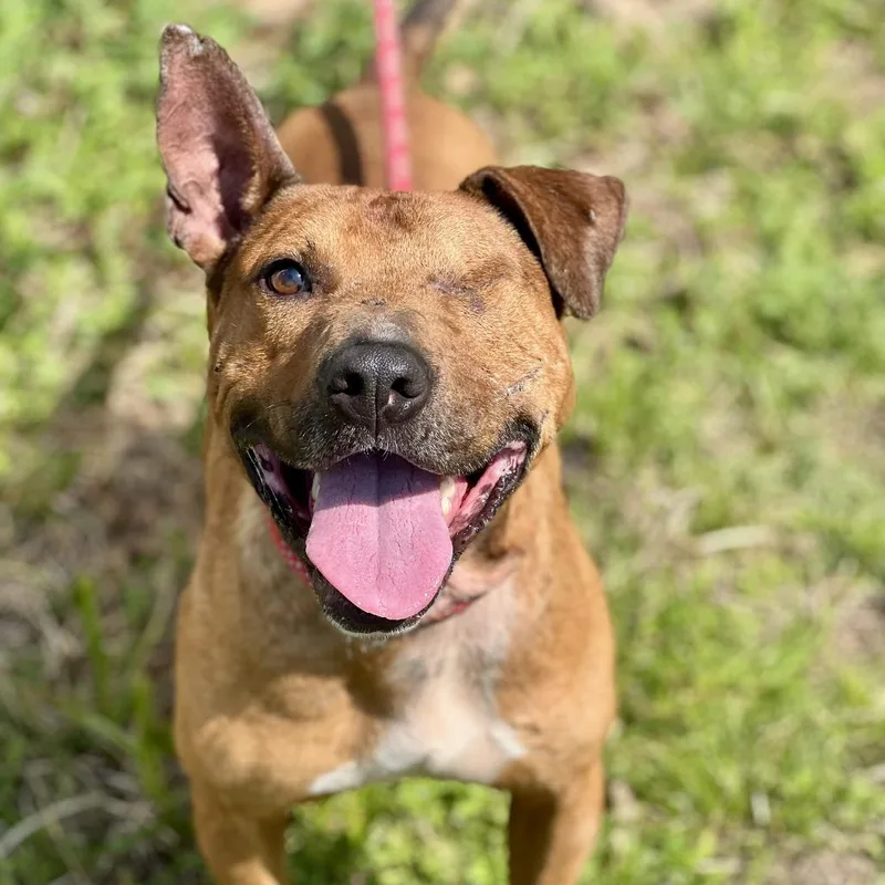 Bo Peeper thumbnail 5