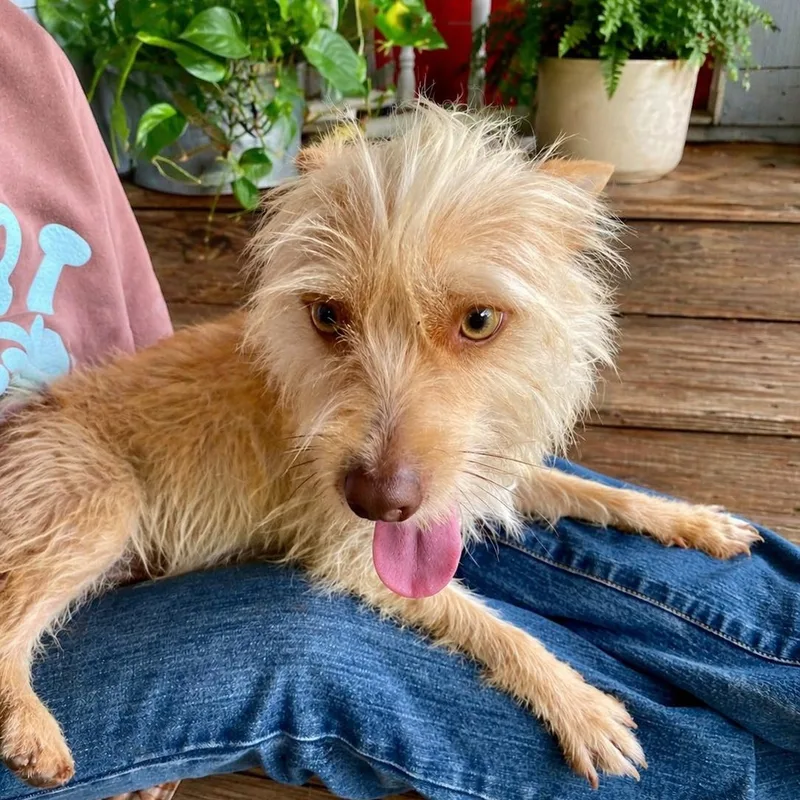 Mr. Moby thumbnail 2